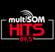Multisom Hits