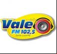 Vale FM